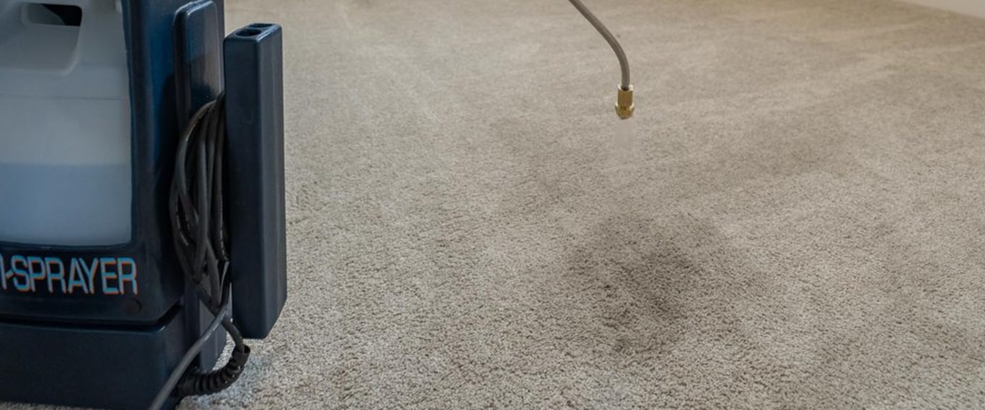 Enhancing Your Manufactured Home: The Role of Carpet Cleaning For A Fresh Start In Boise