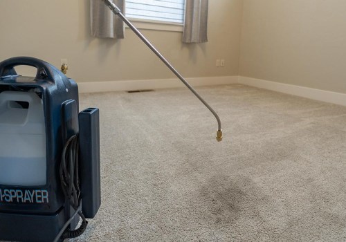 Enhancing Your Manufactured Home: The Role of Carpet Cleaning For A Fresh Start In Boise